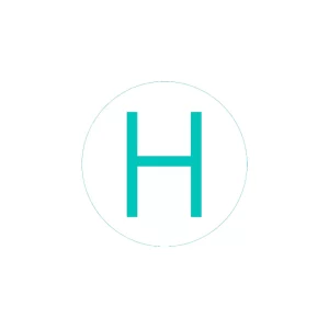 Bogg Bit - Initial "H"