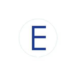 Bogg Bit - Initial "E"