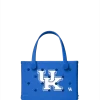 Bitty Bogg Bag - Kentucky Wildcats